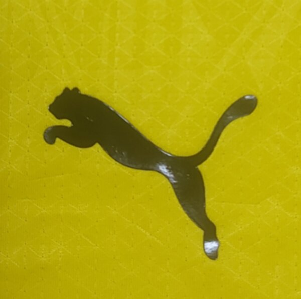 майка Borussia Dortmund,длинный рукав,2026-2027,домашняя,полиэстер 100%