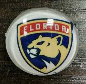 значок Florida Panthers №0581