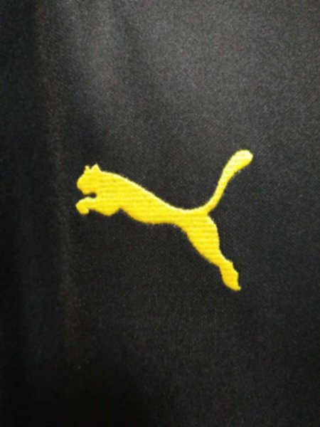 мастерка Borussia Dortmund   2019-2020