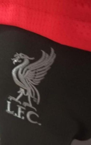 спортивный костюм детский Liverpool  2019-2020  полиэстер 100%