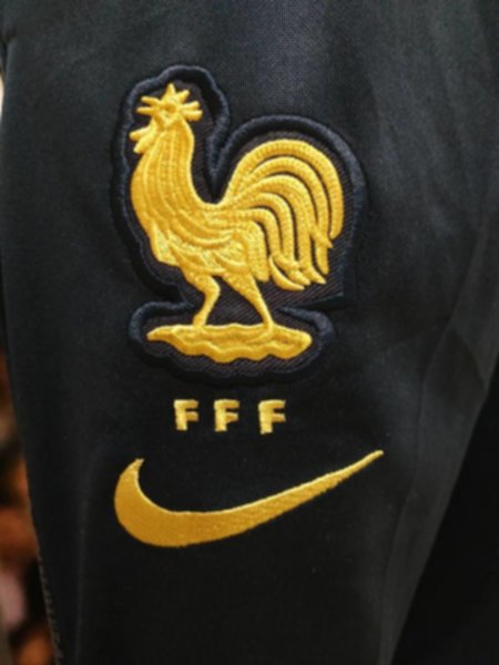 спортивный костюм сборной Франции  2019  полиэстер 100%
