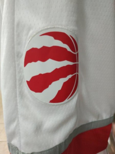 трусы баскетбольные Toronto Raptors  nike