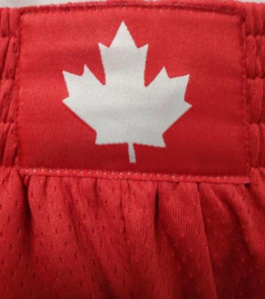 трусы баскетбольные Toronto Raptors  nike