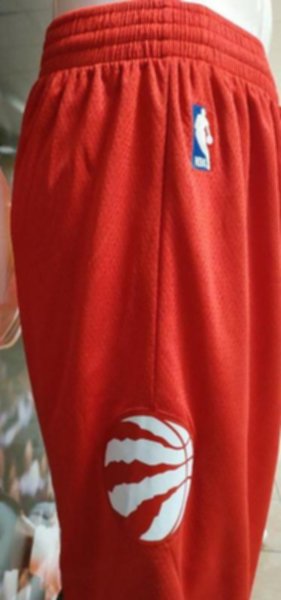трусы баскетбольные Toronto Raptors  nike
