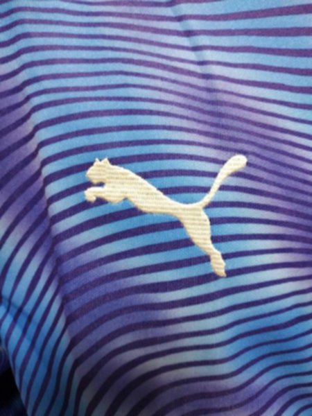 мастерка Manchester City  2019-2020