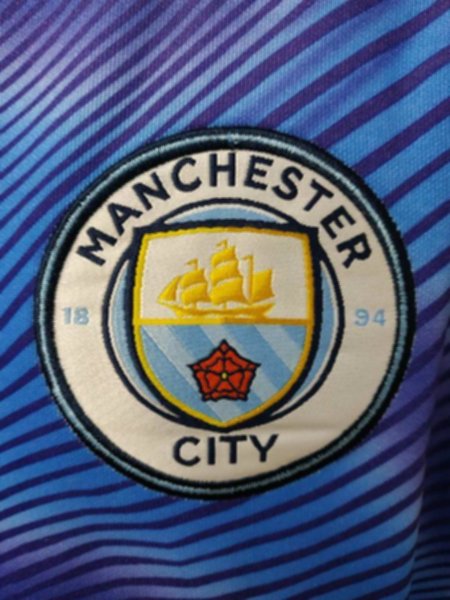 мастерка Manchester City  2019-2020