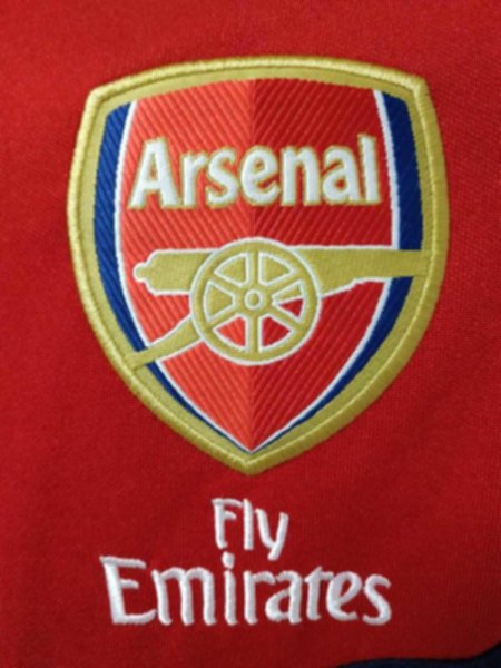 мастерка Arsenal (2019-2020)