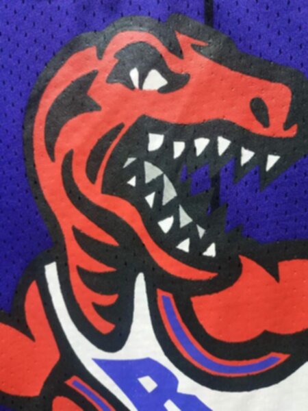 майка баскетбольная  Toronto Raptors №15 CARTER  nike