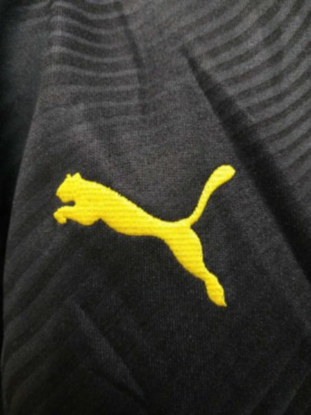 мастерка Borussia Dortmund  2019-2020 