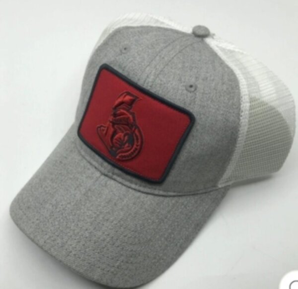 бейсболка Ottawa Senators