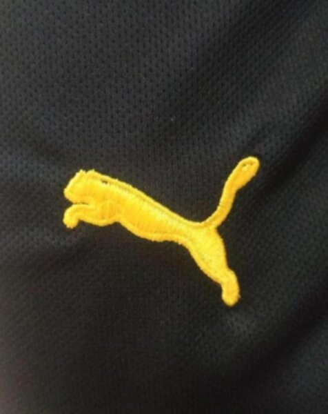 форма Borussia Dortmund  2020-2021   домашняя 