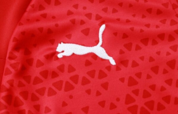 тренировочный костюм AC Milan 2023-2024  Puma,полиэстер 100%