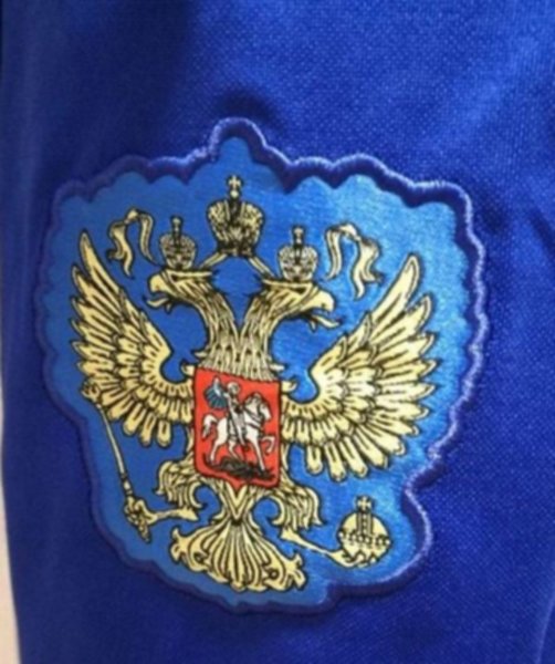 тренировочный костюм сборной России 2018