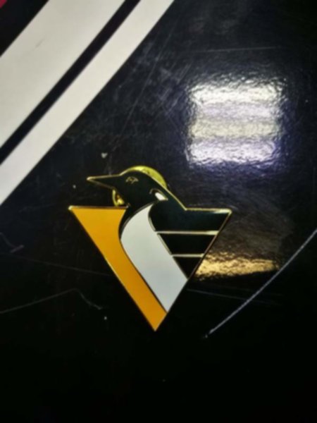значок Pittsburgh Penguins(№0676)