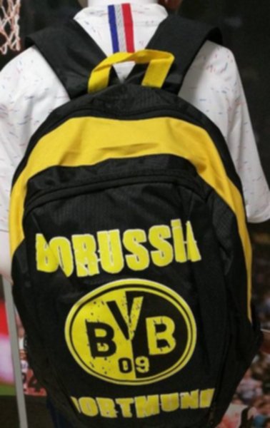 рюкзак Borussia Dortmund(43см х 38см х 20см)