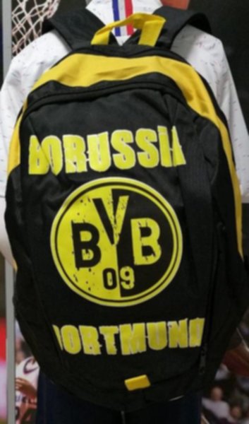 рюкзак Borussia Dortmund(43см х 38см х 20см)