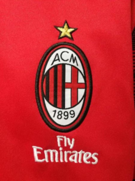 мастерка AC Milan  2019