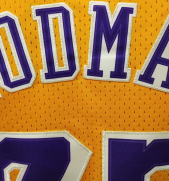 майка баскетбольная Los Angeles Lakers №73 Rodman   adidas 