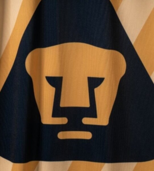 майка U.N.A.M-Pumas 2020-2021 резервная полиэстер 100%