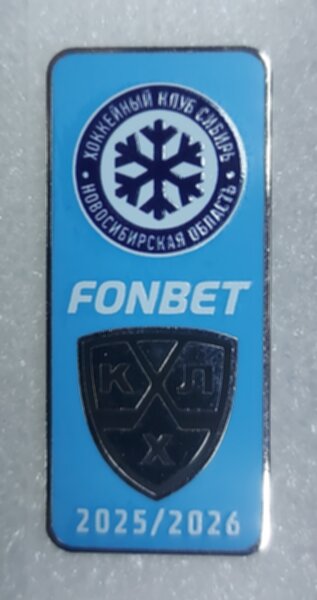 значок  Сибирь Новосибирск  №0793 ,металл,4х2,5см.