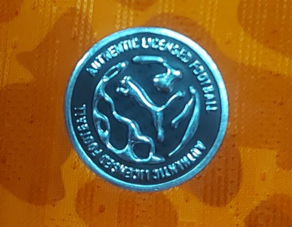 майка футбольная сборной Кот д Ивуар,чемпионат мира 2026,полиэстер 100%