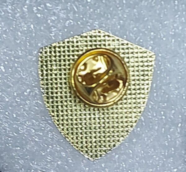 значок сборной Узбекистана №1454 ,металл,4,5х2см.