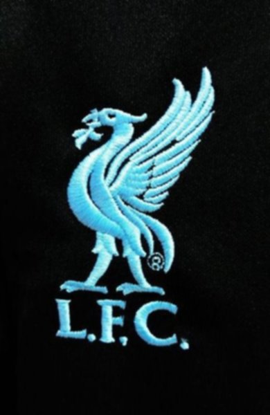 спортивные брюки Liverpool NB