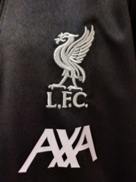 тренировочный костюм детский Liverpool  2019-2020  полиэстер 100%