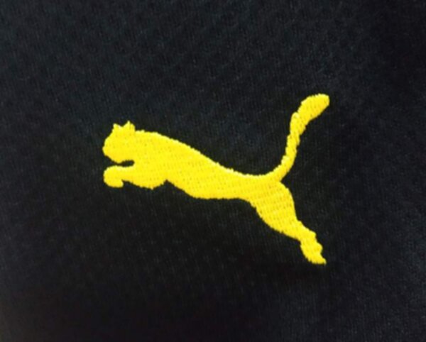форма  Borussia Dortmund   2021-2022  домашняя