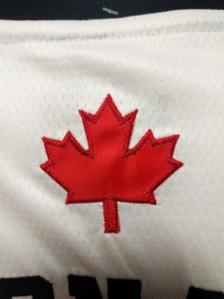 майка баскетбольная  Toronto Raptors №2 LEONARD  nike