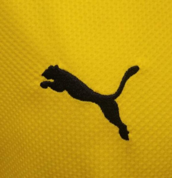 форма  Borussia Dortmund   2021-2022  домашняя