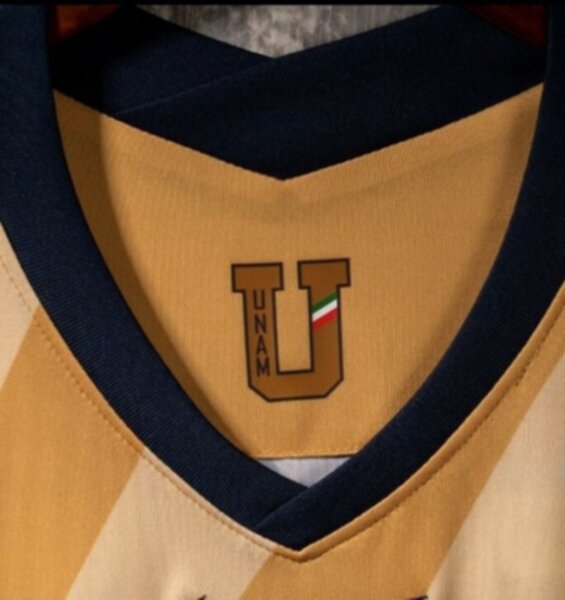 майка U.N.A.M-Pumas 2020-2021 резервная полиэстер 100%