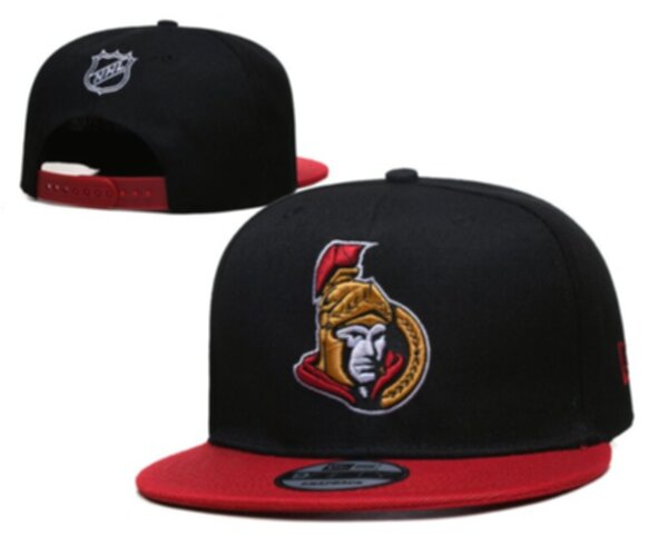 снэпбэк  Ottawa Senators new era