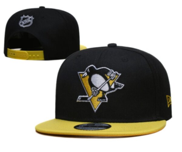 снэпбэк  Pittsburgh Penguins  new era