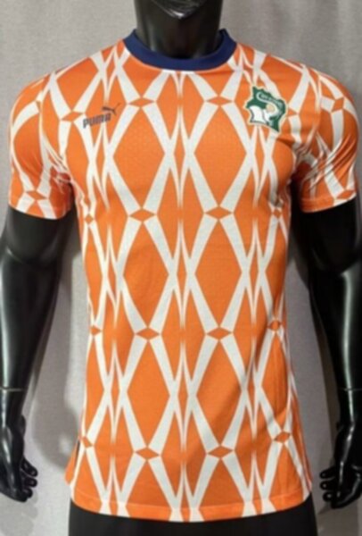 майка сборной Кот д'Ивуар  2023-2024,полиэстер 100%