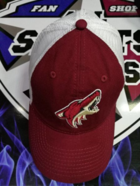 бейсболка Arizona Coyotes