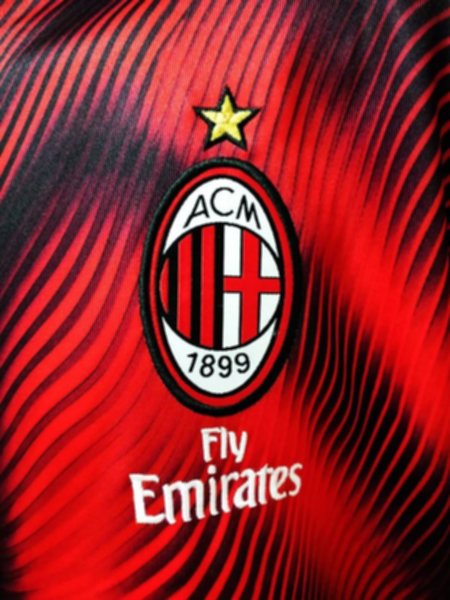 мастерка AC Milan  2019