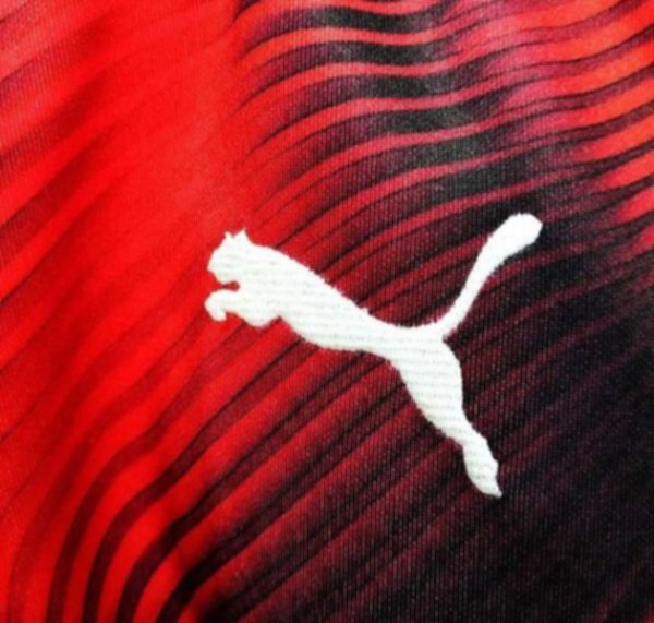 мастерка AC Milan  2019