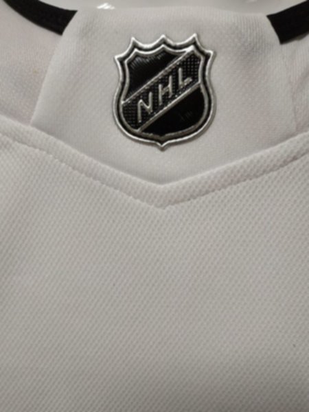 свитер хоккейный Vegas Golden Knights №29 FLEURY