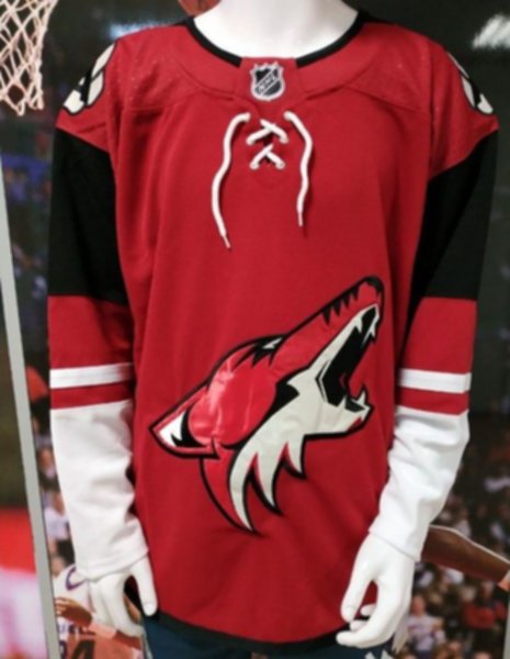 свитер хоккейный Arizona Coyotes