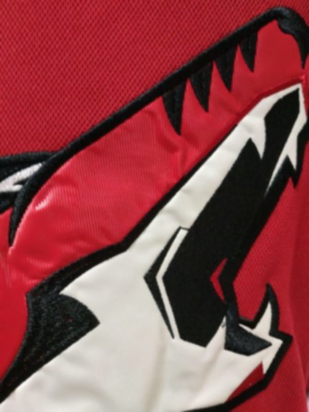 свитер хоккейный Arizona Coyotes