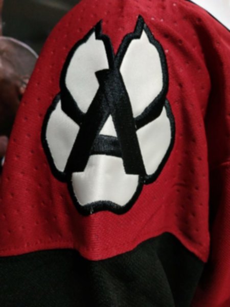 свитер хоккейный Arizona Coyotes