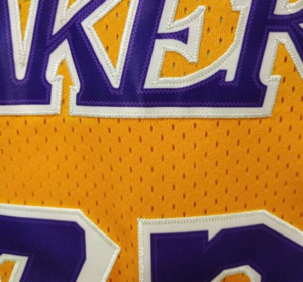 майка баскетбольная Los Angeles Lakers №73 Rodman   adidas 