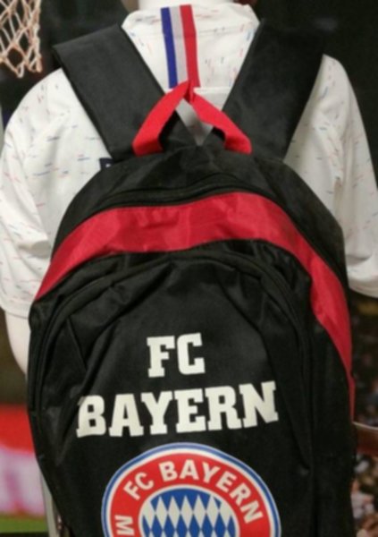 рюкзак Bayern Munchen(43см х 38см х 20см)