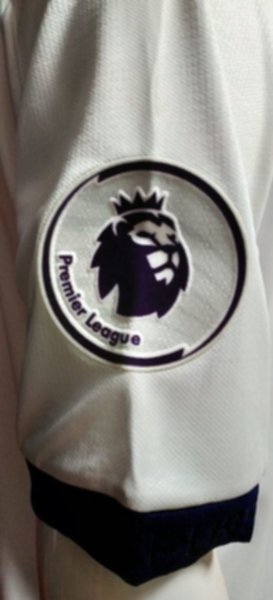 форма Tottenham  2019-2020  домашняя