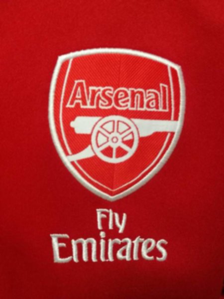 мастерка Arsenal  2019