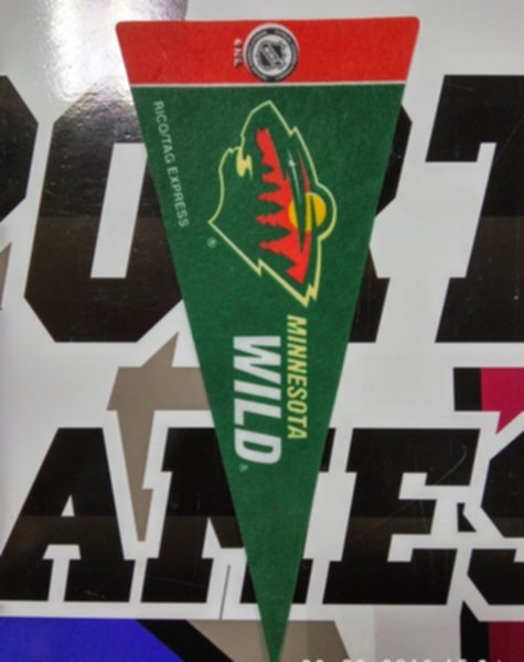 вымпел Minnesota Wild(22,5см х 10см)(фетр)