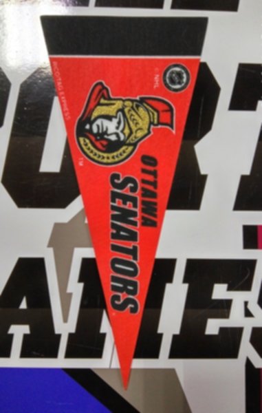 вымпел Ottawa Senators(22,5см х 10см)(фетр)