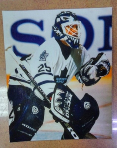 магнит Toronto Maple Leafs  10 см х 8 см   винил