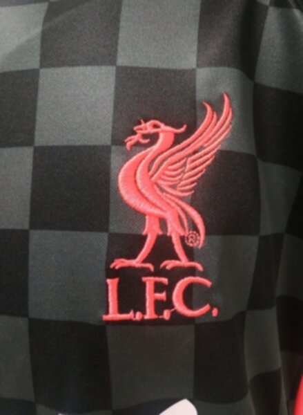форма Liverpool 2020-2021 резервная